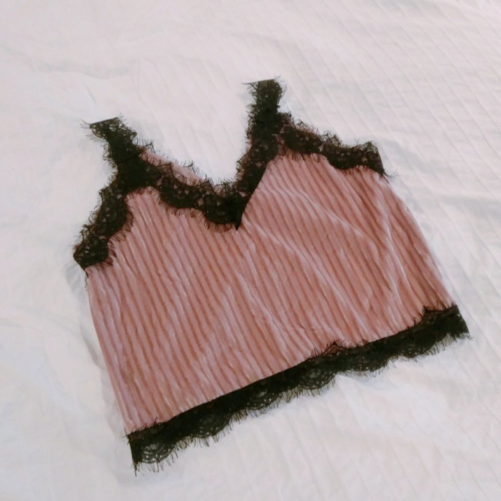 Japan Soft Pink Velvet and Lace Crop Top